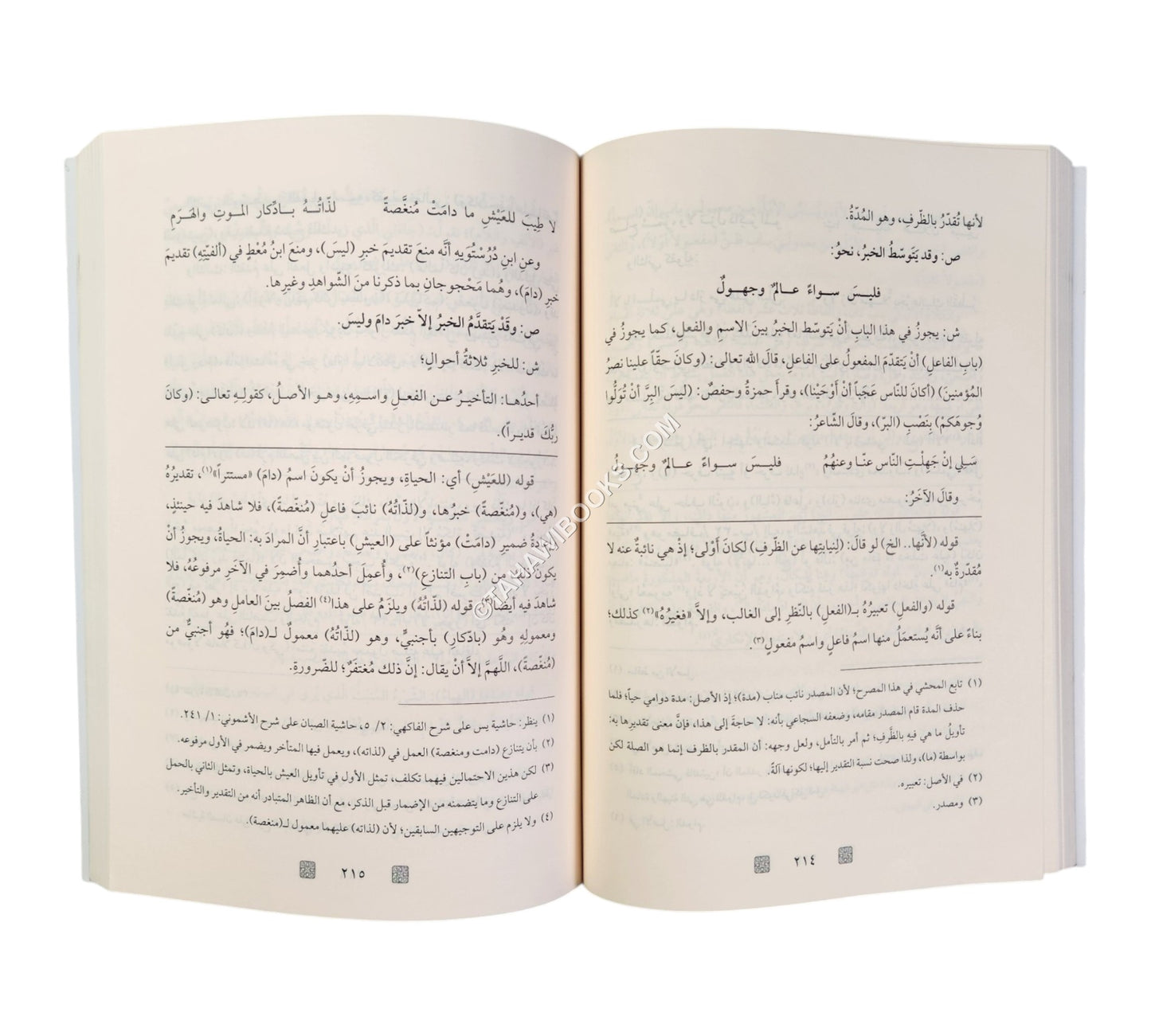 شرح قطر الندى وعليه حاشية الفيشي-الرياحين