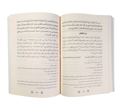 شرح قطر الندى وعليه حاشية الفيشي-الرياحين