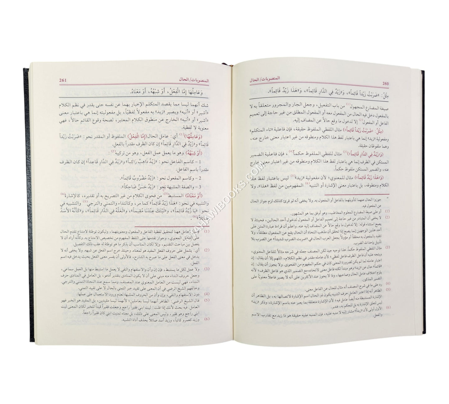 الفوائد الضيائية وهو شرح الجامي لكافية ابن الحاجب