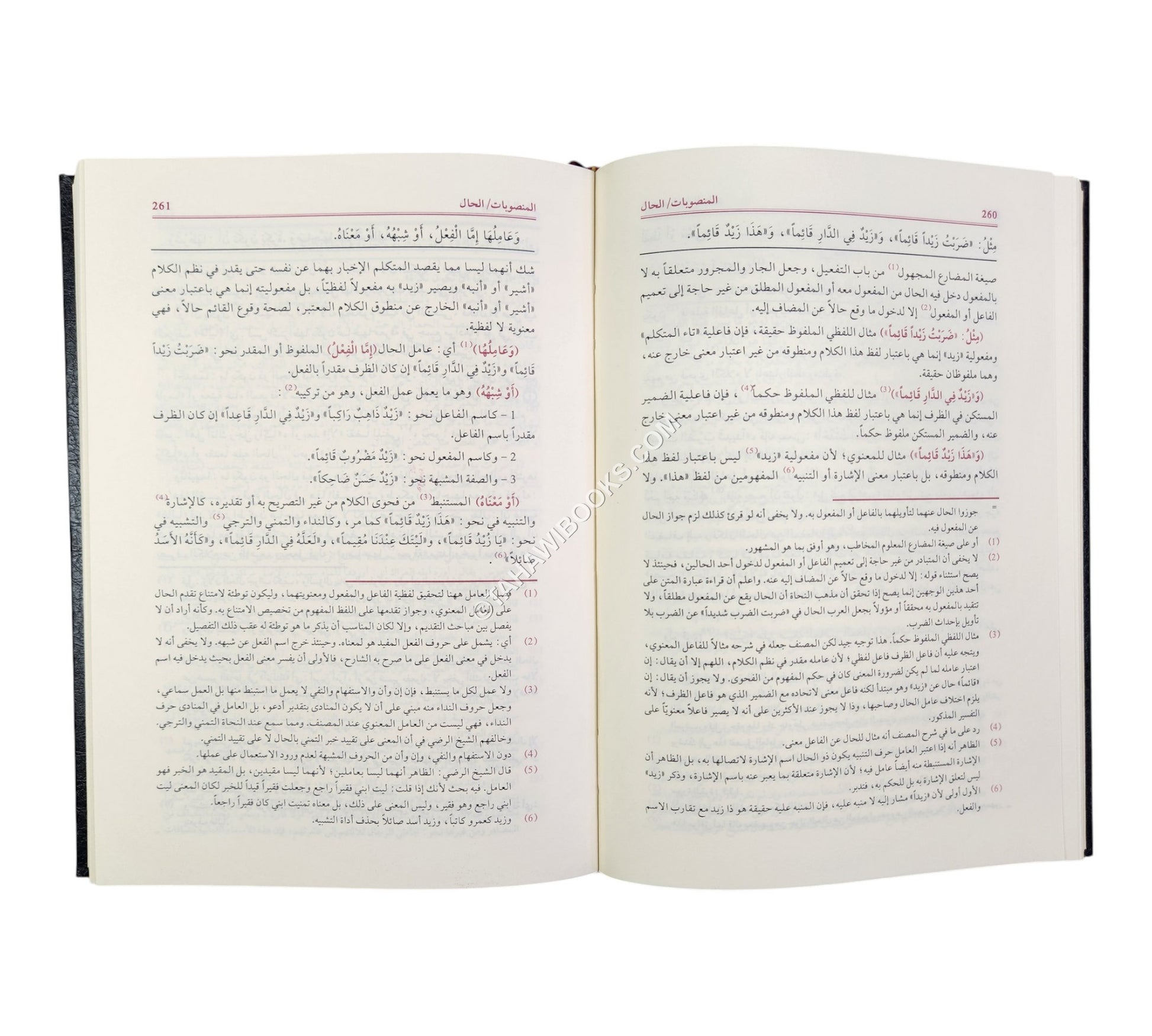 الفوائد الضيائية وهو شرح الجامي لكافية ابن الحاجب