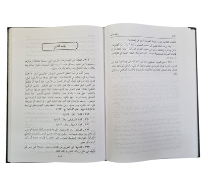المعجم المفصل في فقه اللغة
