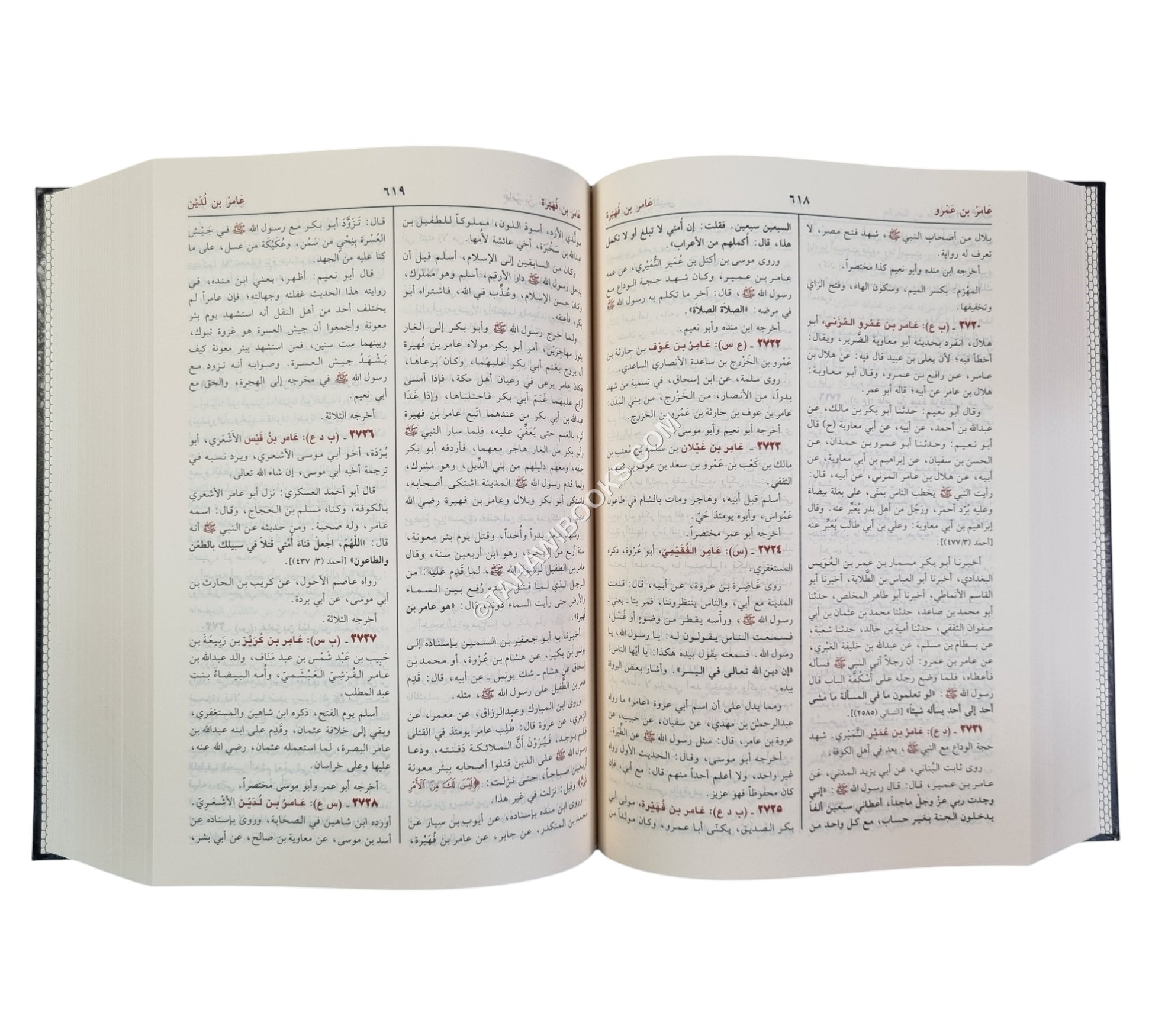 أسد الغابة في معرفة الصحابة-ابن