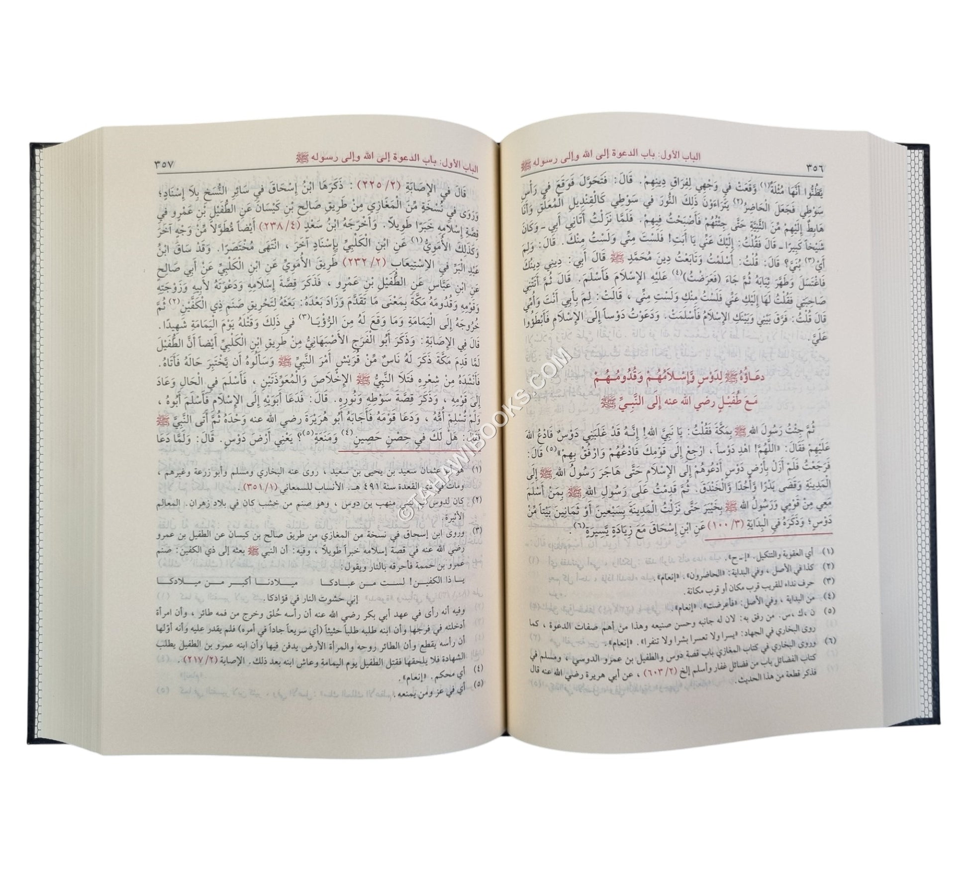 حياة الصحابة مع حاشية الشيخ إلياس