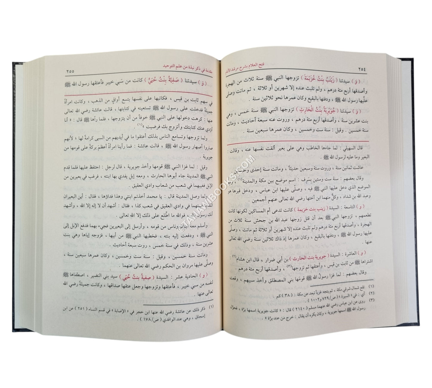 فتح العلام بشرح مرشد الأنام-الفيحاء