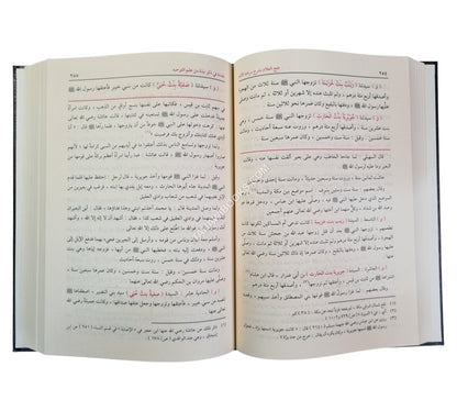 فتح العلام بشرح مرشد الأنام-الفيحاء