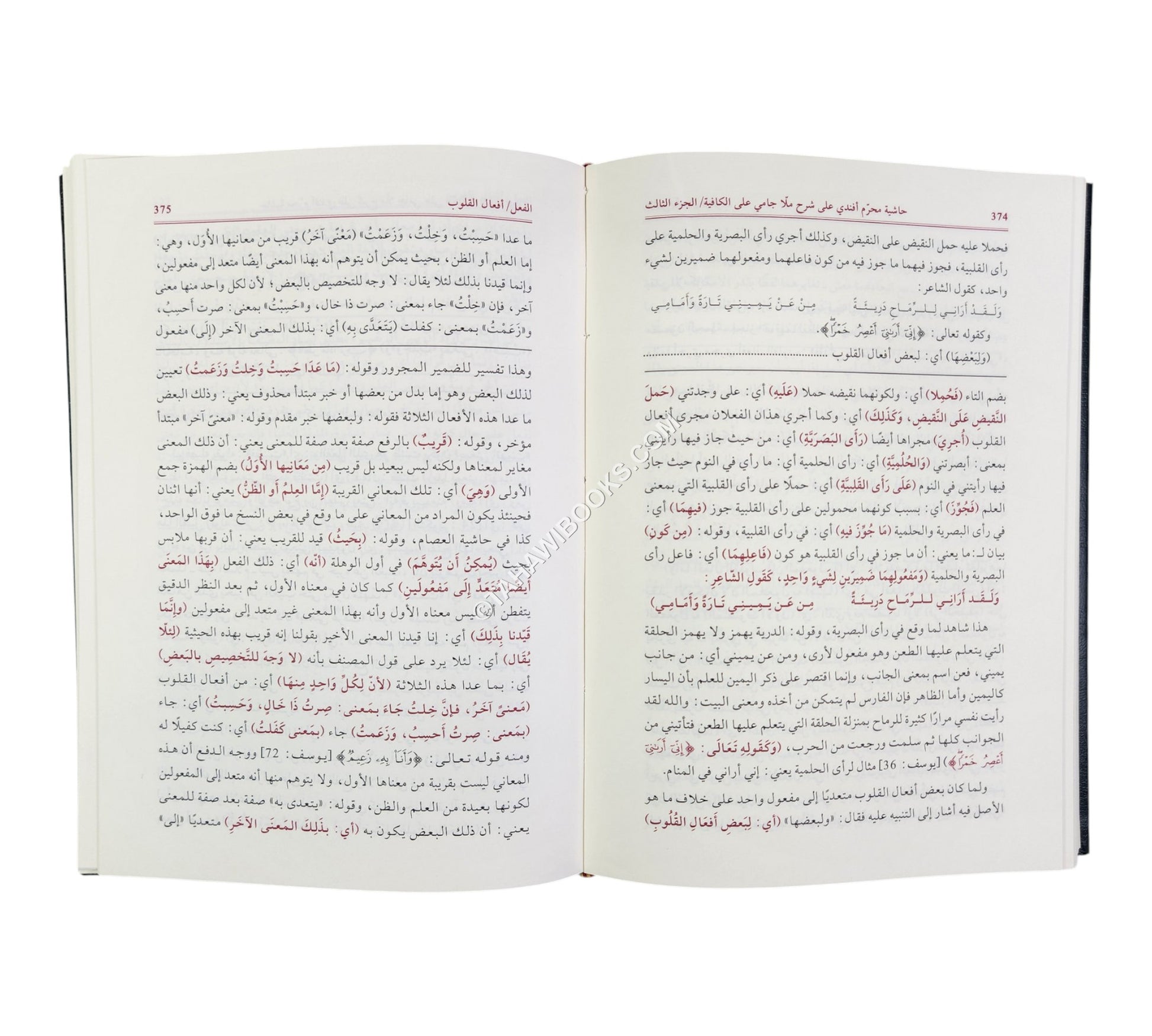 حاشية محرم أفندي على شرح ملا جامي على الكافية المسمى (الفوائد الضيائية)
