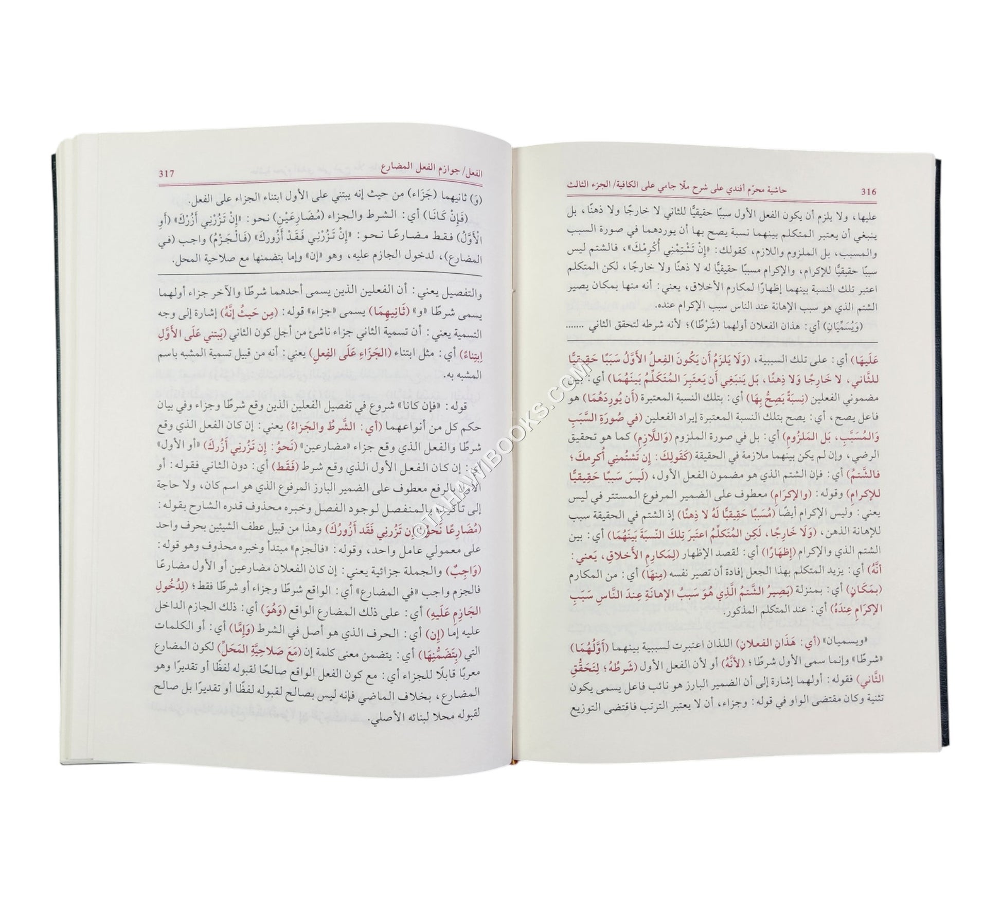 حاشية محرم أفندي على شرح ملا جامي على الكافية المسمى (الفوائد الضيائية)