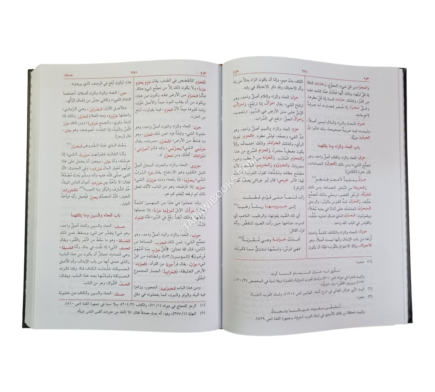 معجم مقاييس اللغة-العلمية