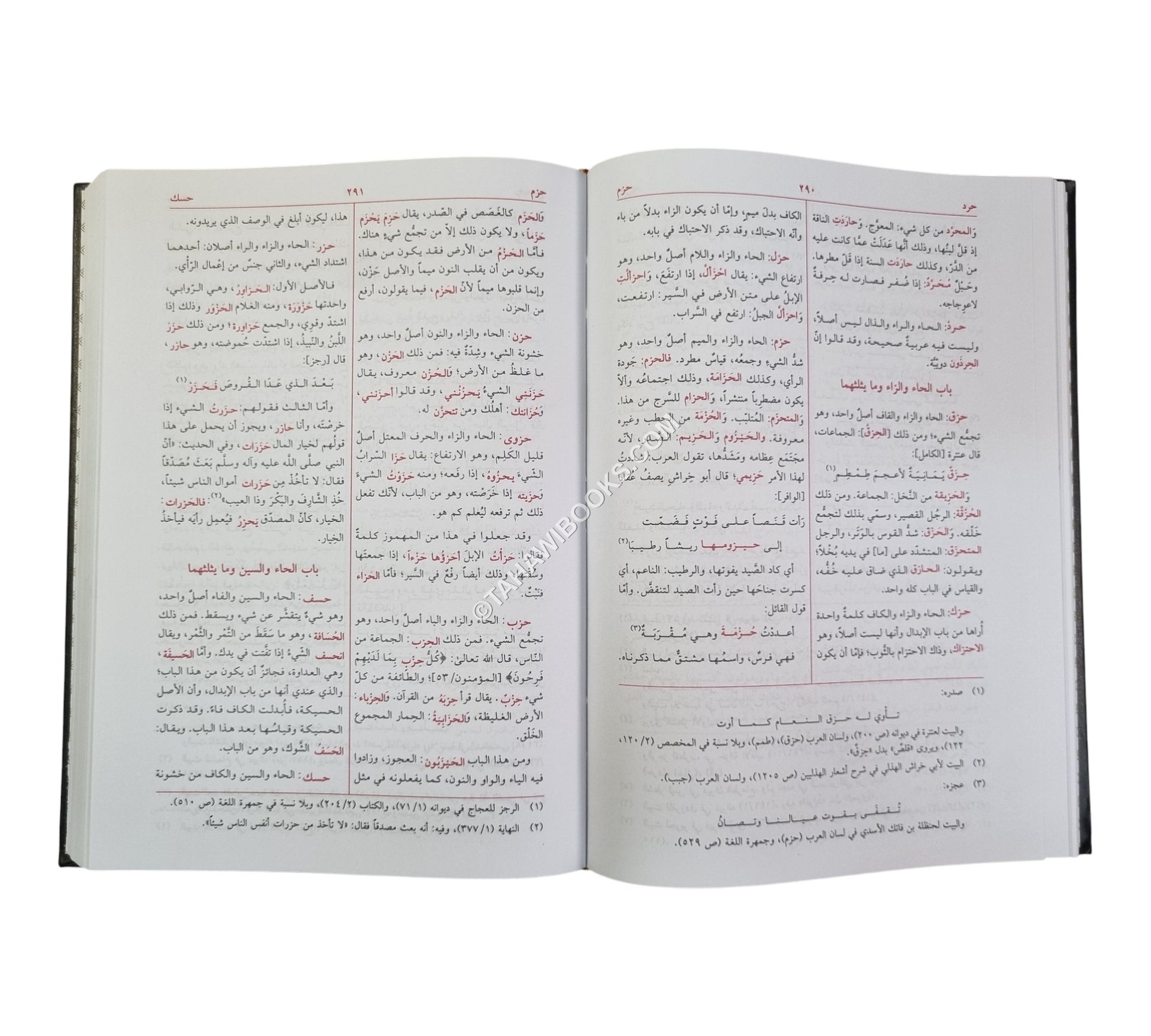 معجم مقاييس اللغة-العلمية