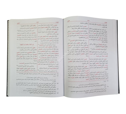 معجم مقاييس اللغة-العلمية