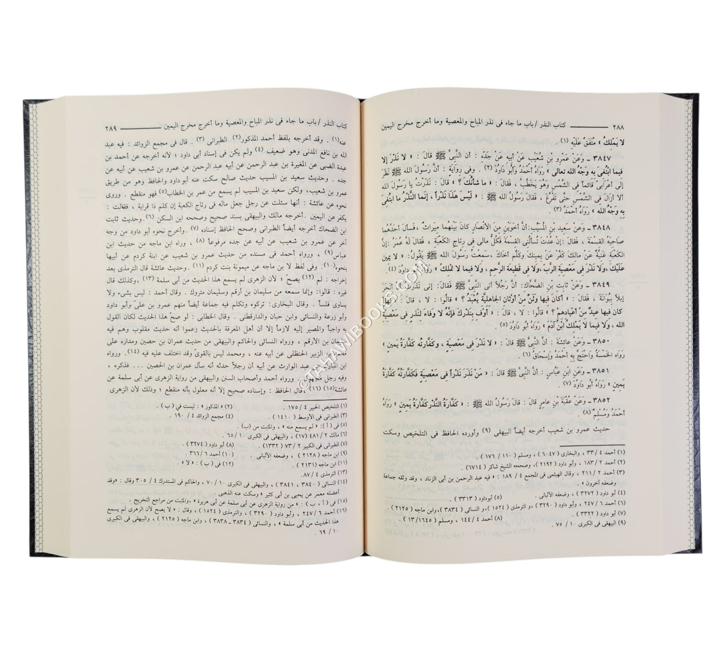 نيل الأوطار شرح منتقى الأخبار من أحاديث سيد الأخيار-ابن حزم