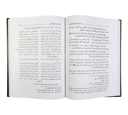 المنتظم في تاريخ الملوك والأمم-العلمية