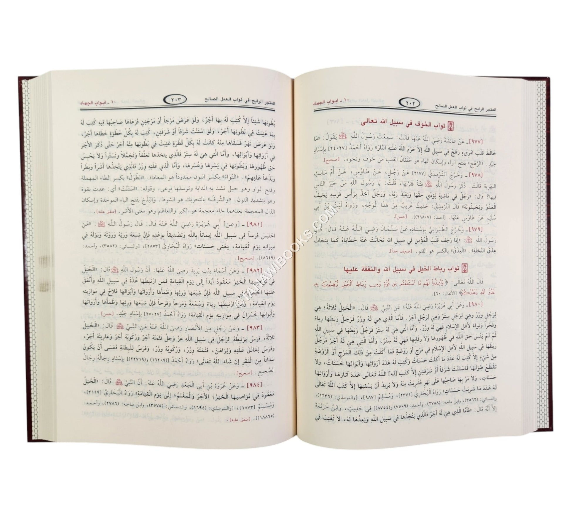 المتجر الرابح في ثواب العمل الصالح