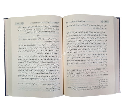 حادي الأرواح إلى بلاد الأفراح-ابن كثير