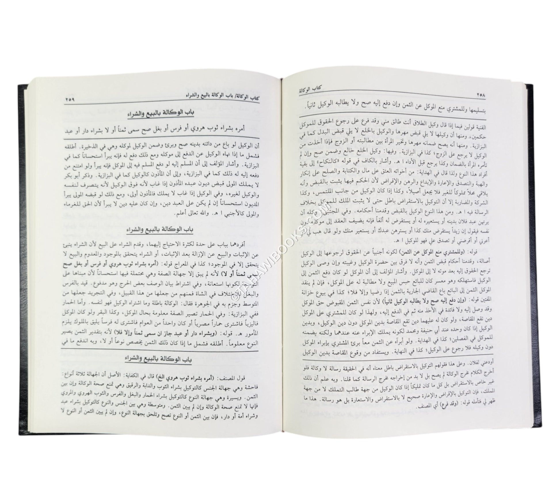 البحر الرائق شرح كنز الدقائق-العلمية
