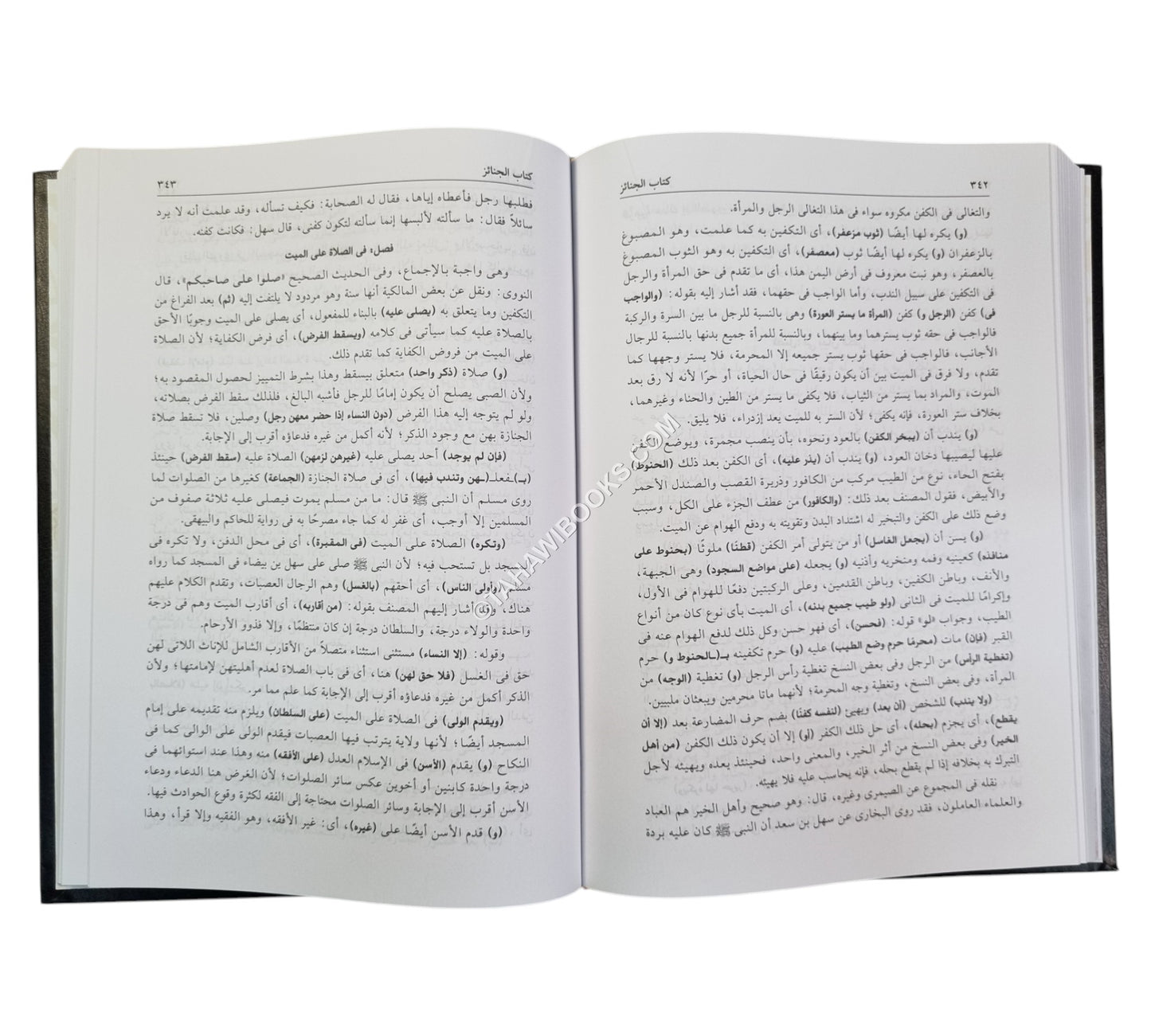 فيض الإله المالك في حل ألفاظ عمدة السالك وعدة الناسك-العلمية
