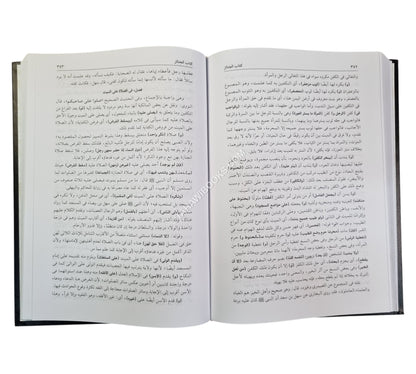 فيض الإله المالك في حل ألفاظ عمدة السالك وعدة الناسك-العلمية