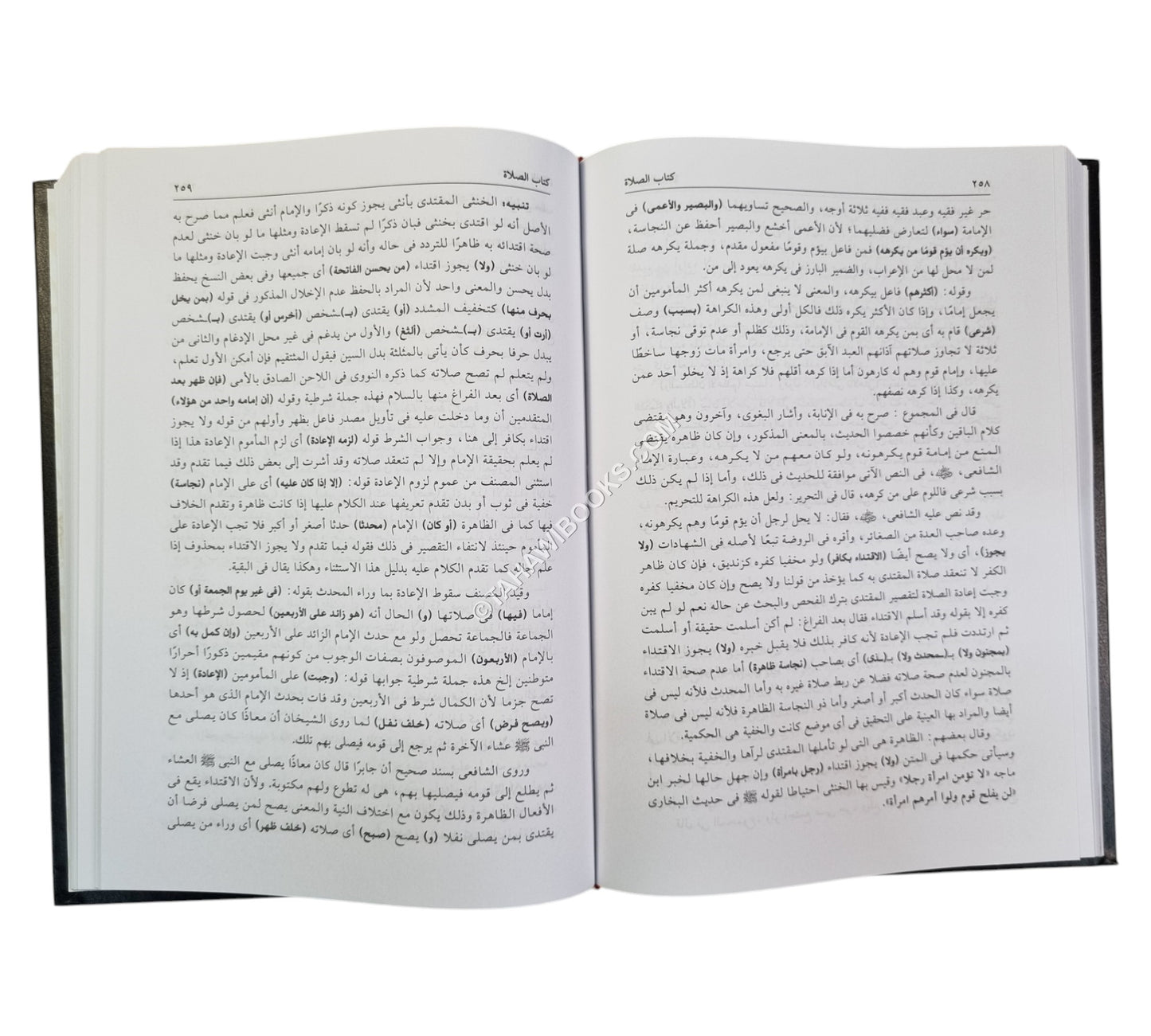 فيض الإله المالك في حل ألفاظ عمدة السالك وعدة الناسك-العلمية