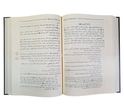كتاب الأم-ابن حزم