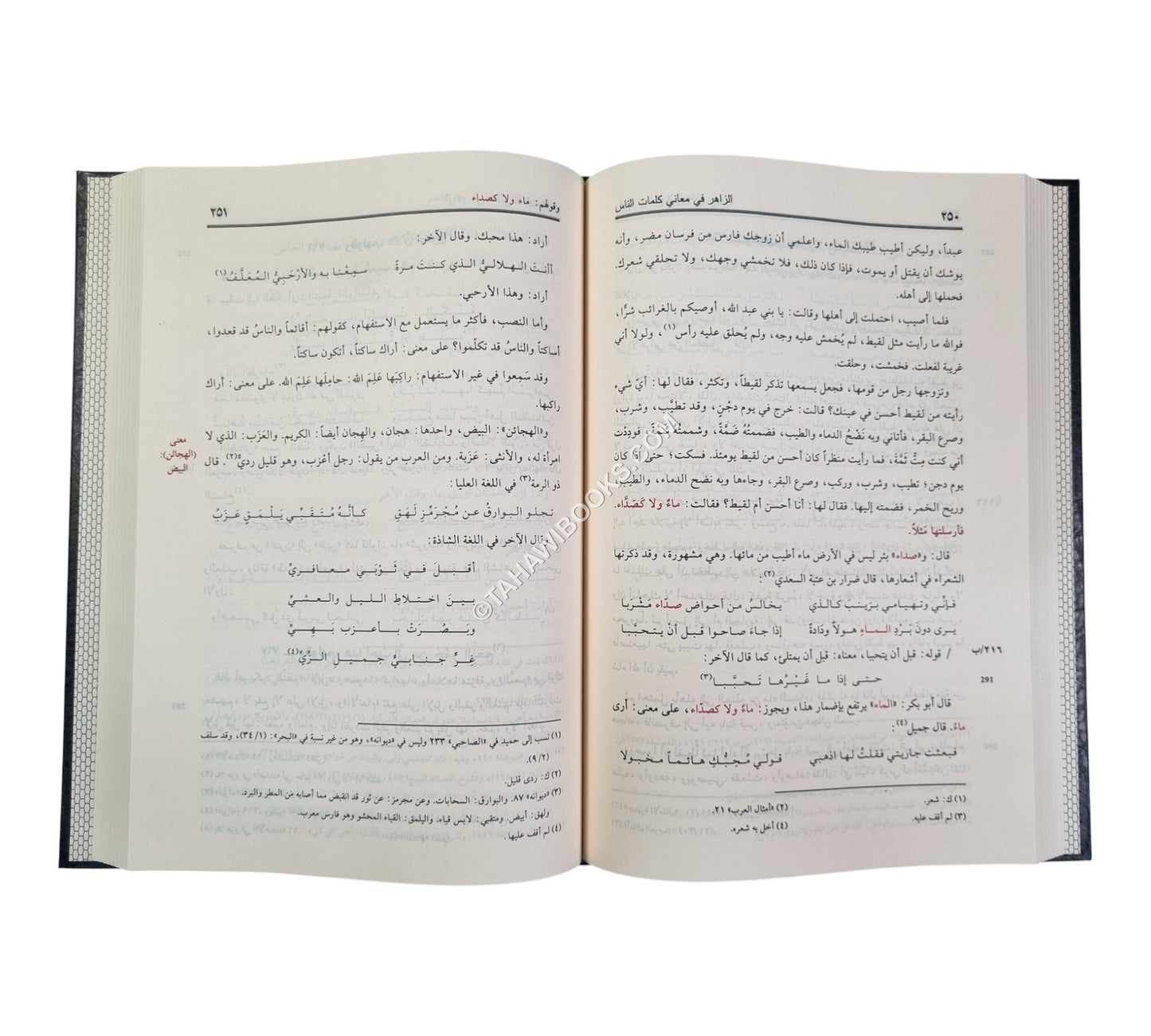 الزاهر في معاني كلمات الناس-ناشرون