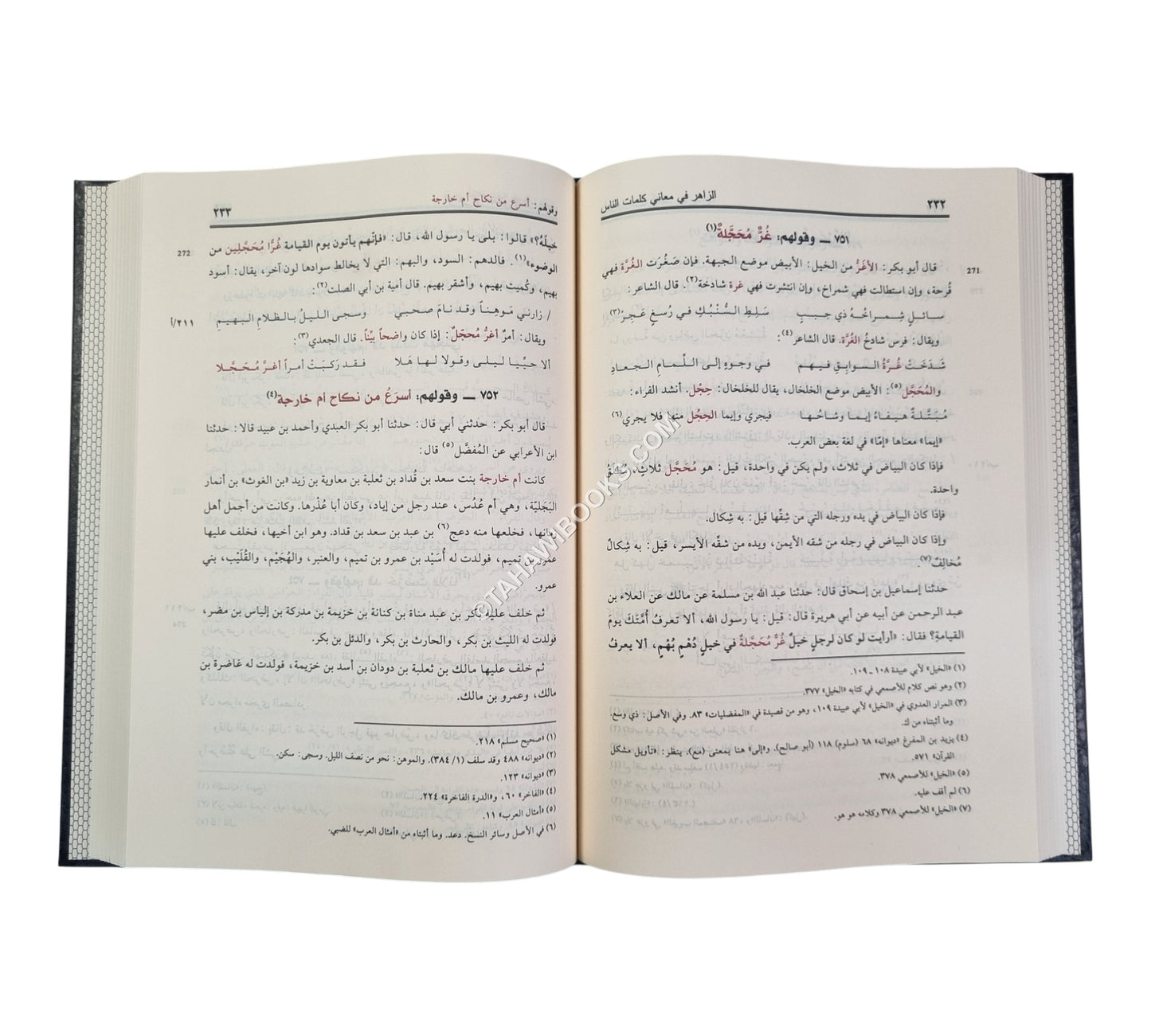 الزاهر في معاني كلمات الناس-ناشرون