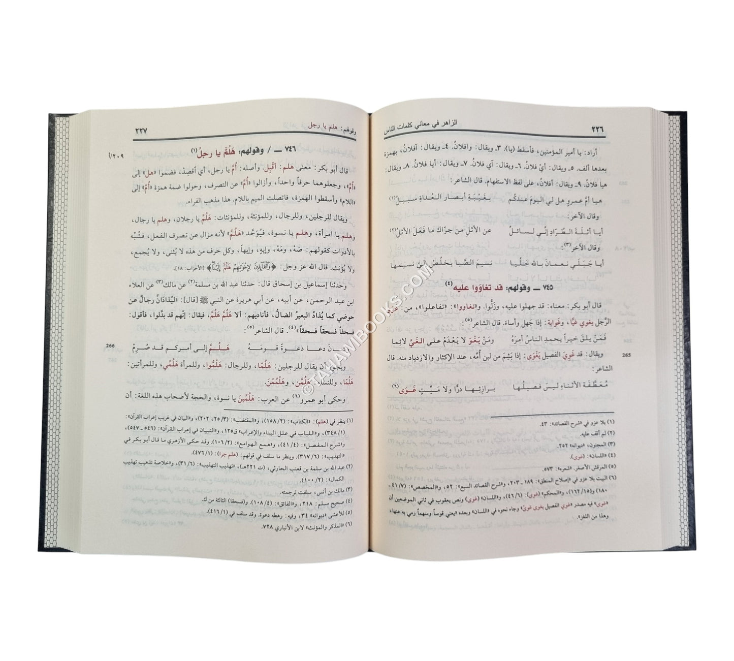 الزاهر في معاني كلمات الناس-ناشرون