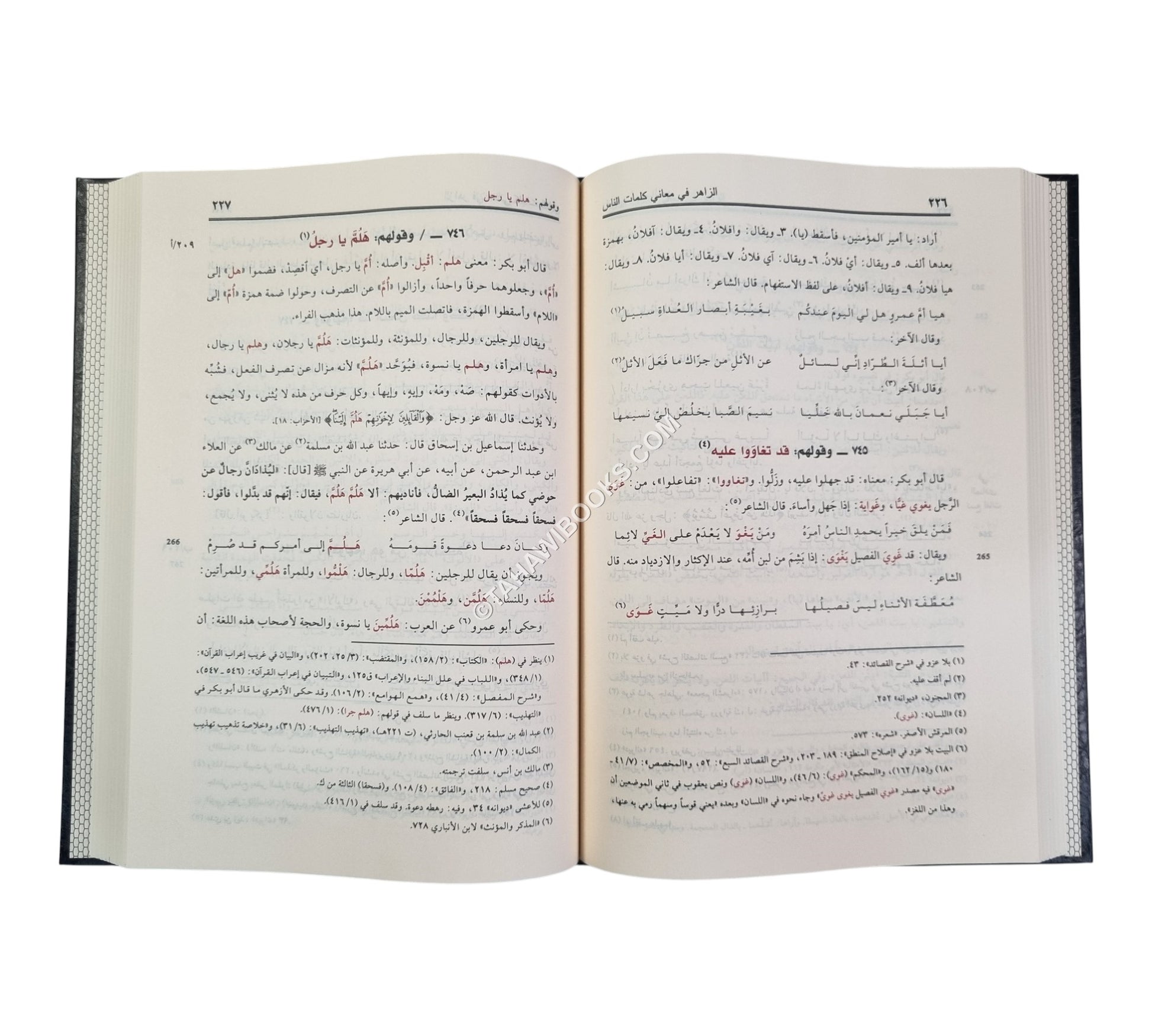 الزاهر في معاني كلمات الناس-ناشرون