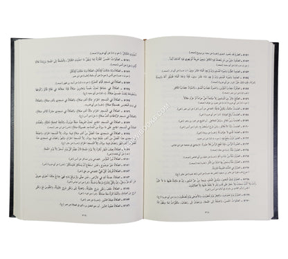 الجامع الصغير في أحاديث البشير النذير-العلمية