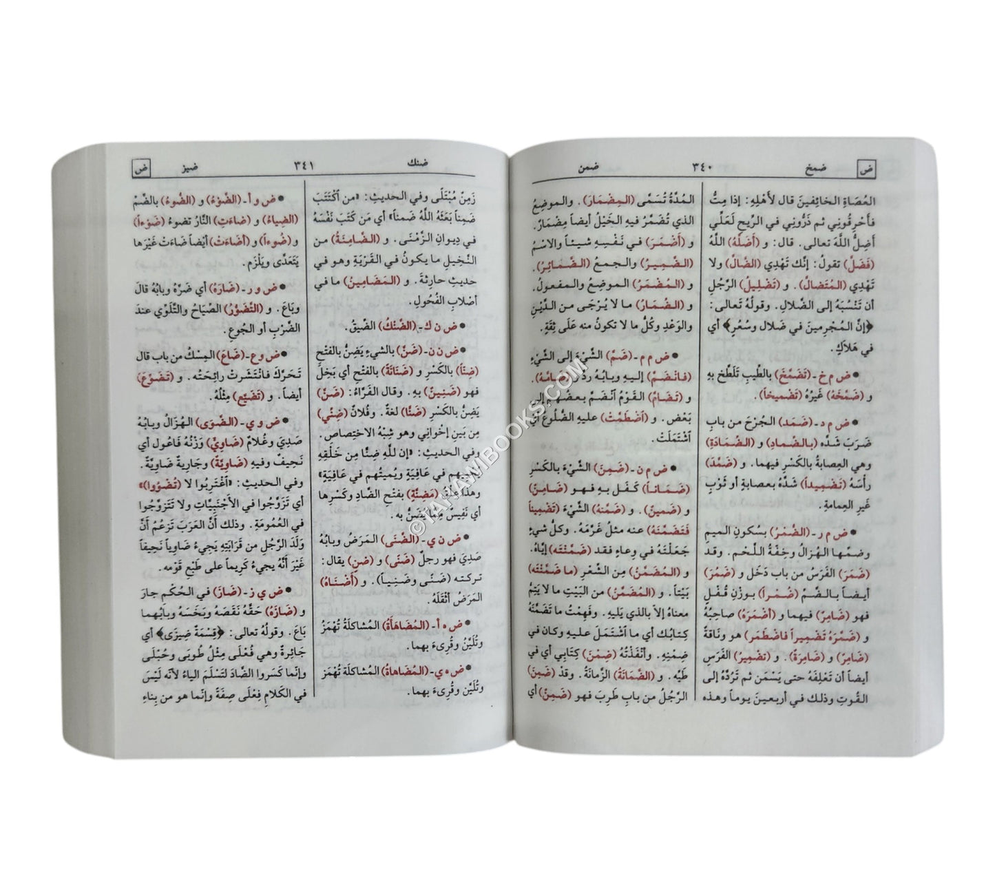 مختار الصحاح-الرسالة ناشرون-جيب