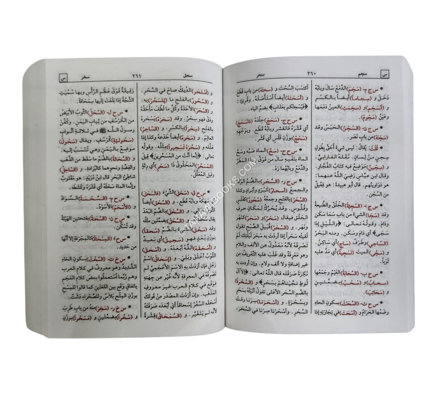 مختار الصحاح-الرسالة ناشرون-جيب