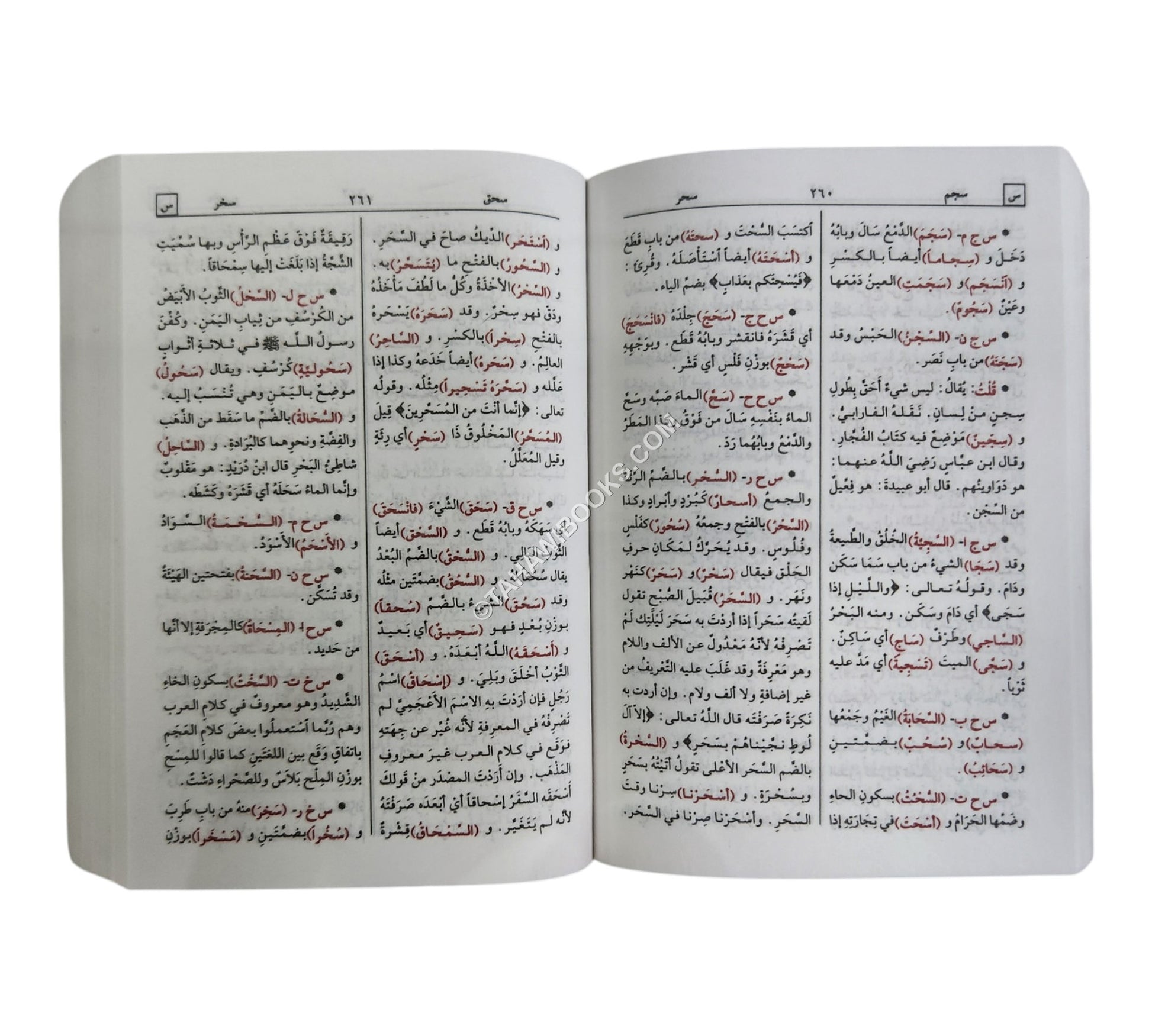مختار الصحاح-الرسالة ناشرون-جيب