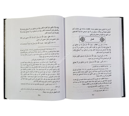 مسند الفردوس  وهو (الفردوس بمأثور الخطاب) مع الفهارس