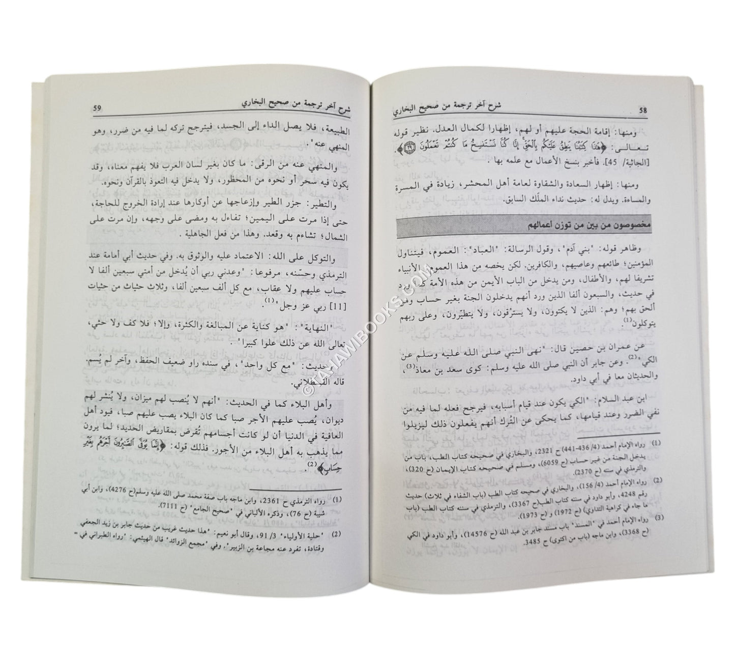 شرح آخر ترجمة من صحيح البخاري ويليه ختم الهمزية