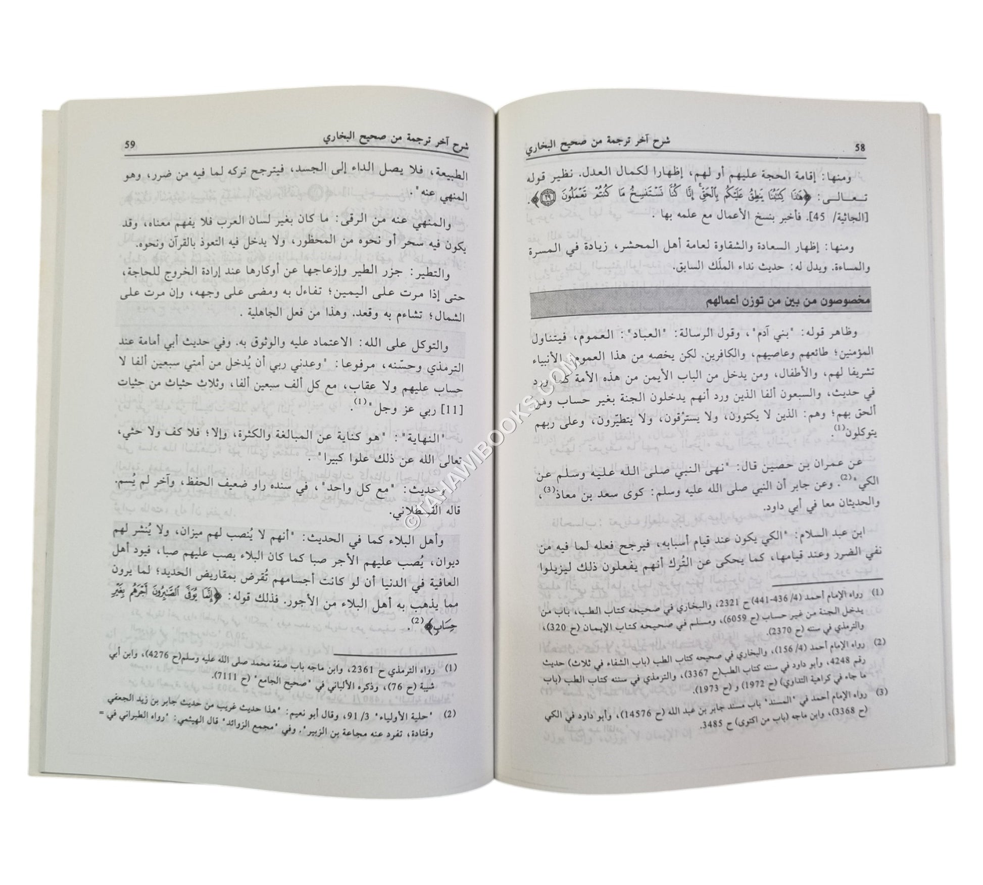 شرح آخر ترجمة من صحيح البخاري ويليه ختم الهمزية