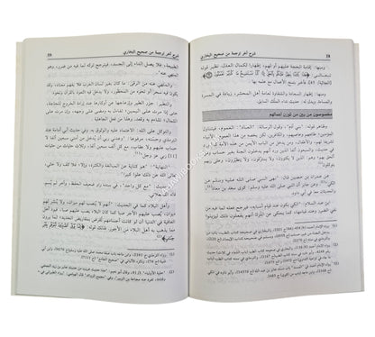 شرح آخر ترجمة من صحيح البخاري ويليه ختم الهمزية
