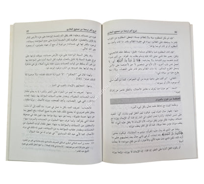 شرح آخر ترجمة من صحيح البخاري ويليه ختم الهمزية