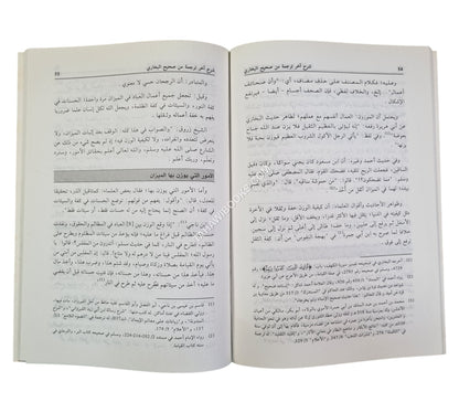 شرح آخر ترجمة من صحيح البخاري ويليه ختم الهمزية