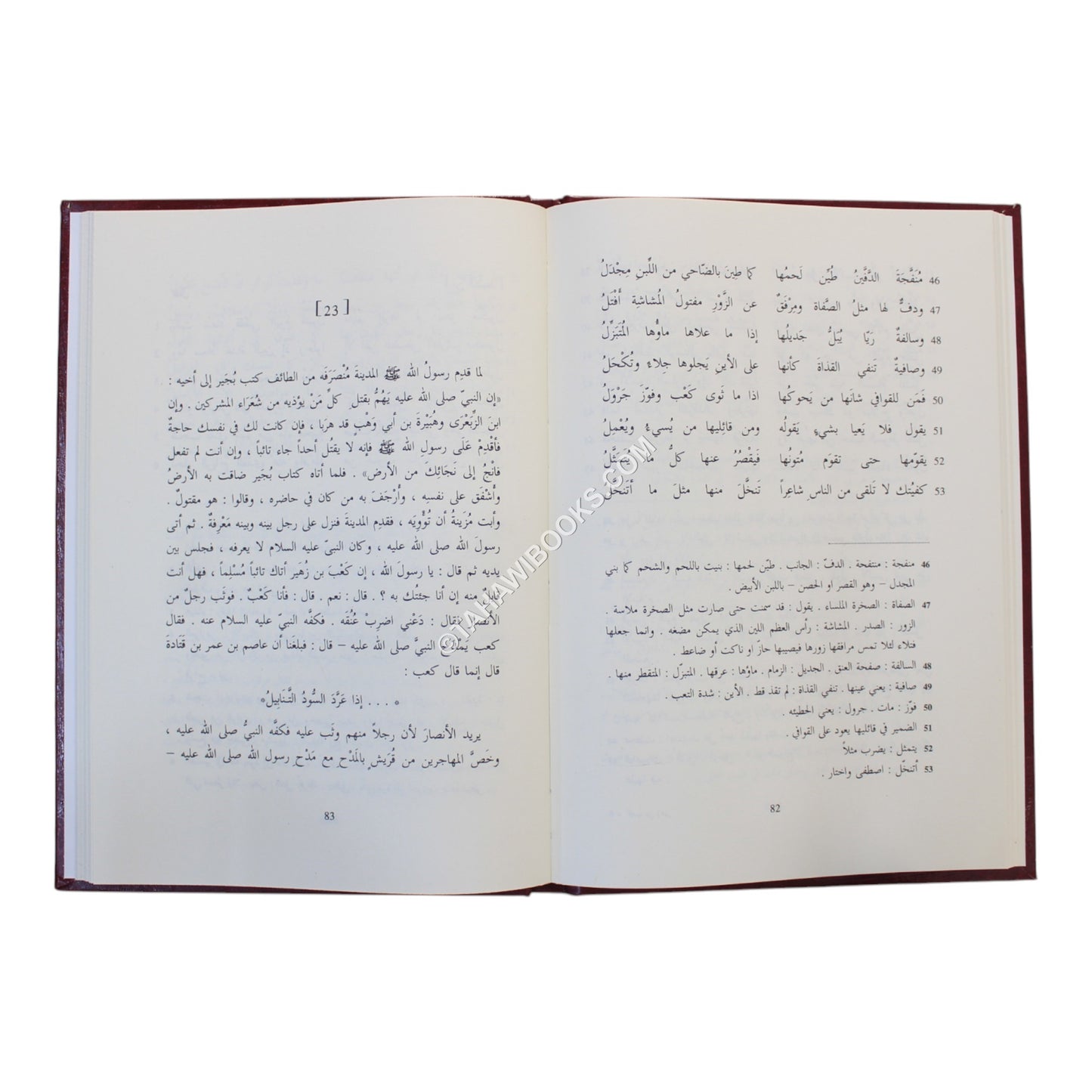 ديوان كعب بن زهير-صادر