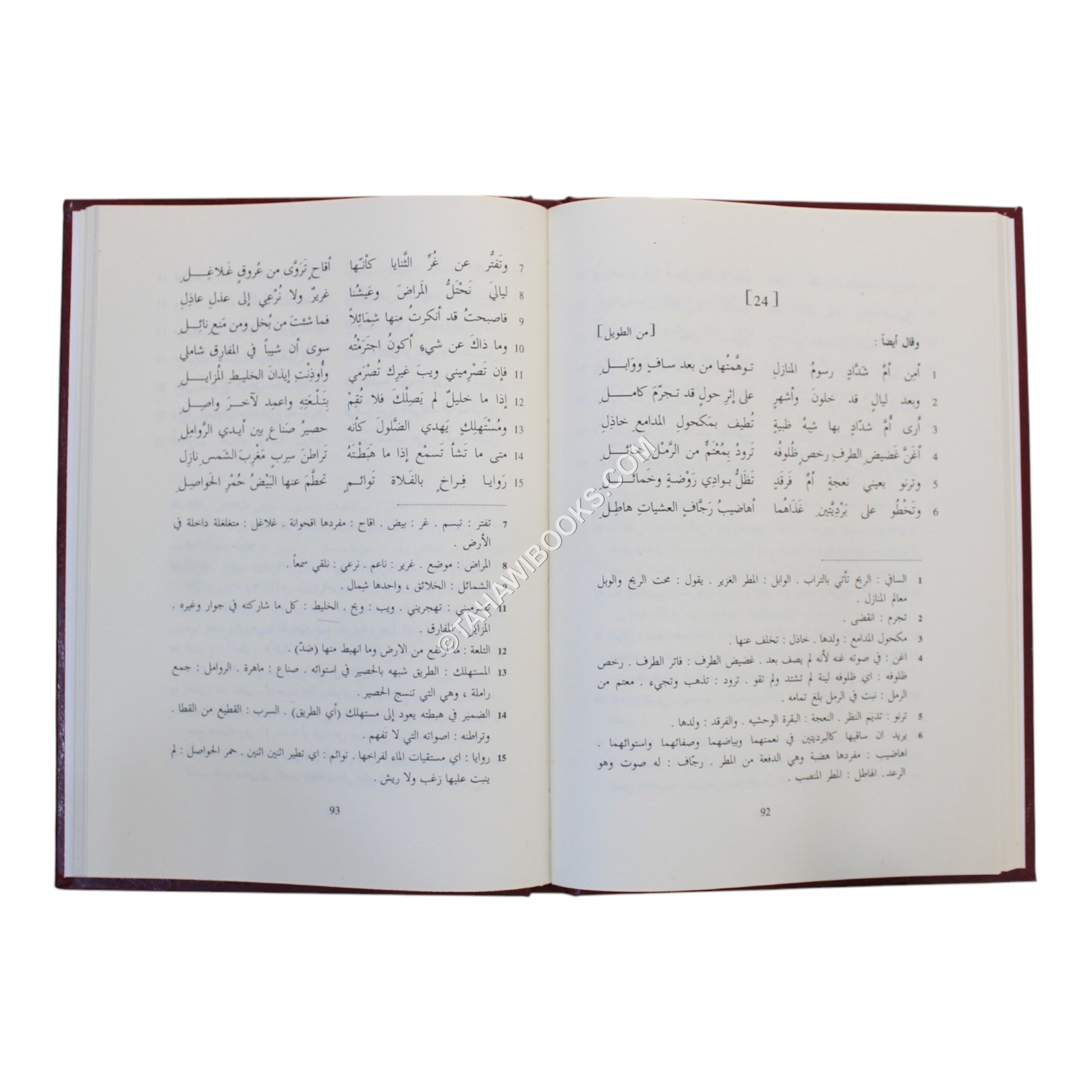 ديوان كعب بن زهير-صادر