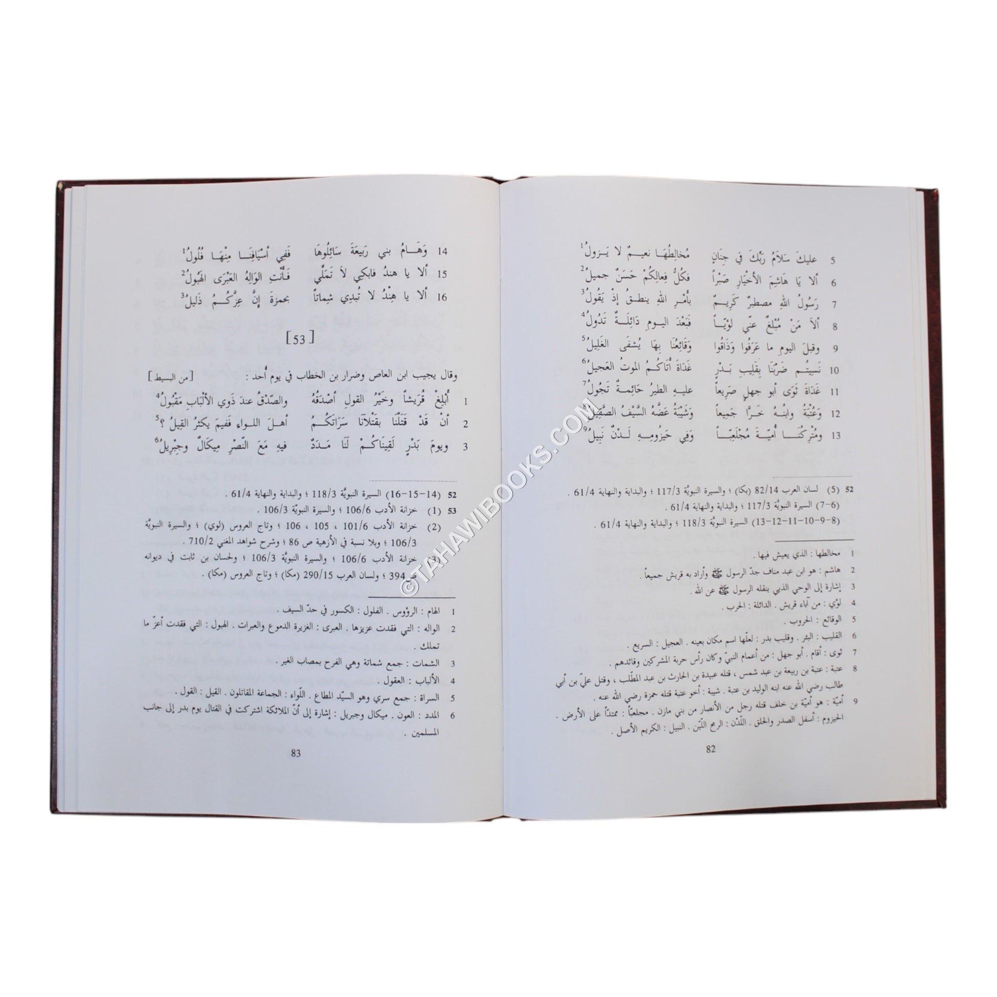 ديوان كعب بن مالك الأنصاري-صادر