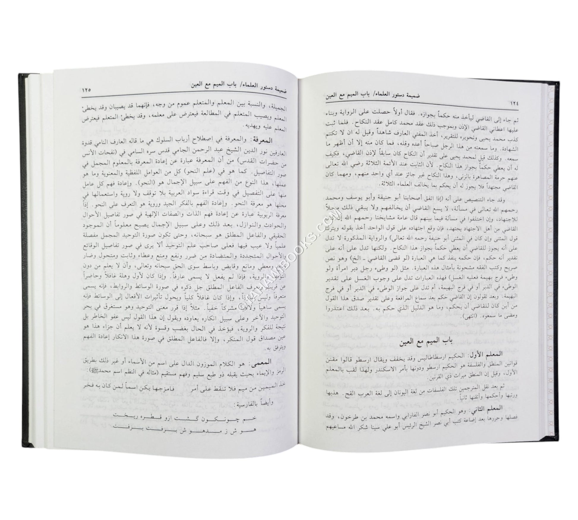دستور العلماء:جامع العلوم في اصطلاحات الفنون