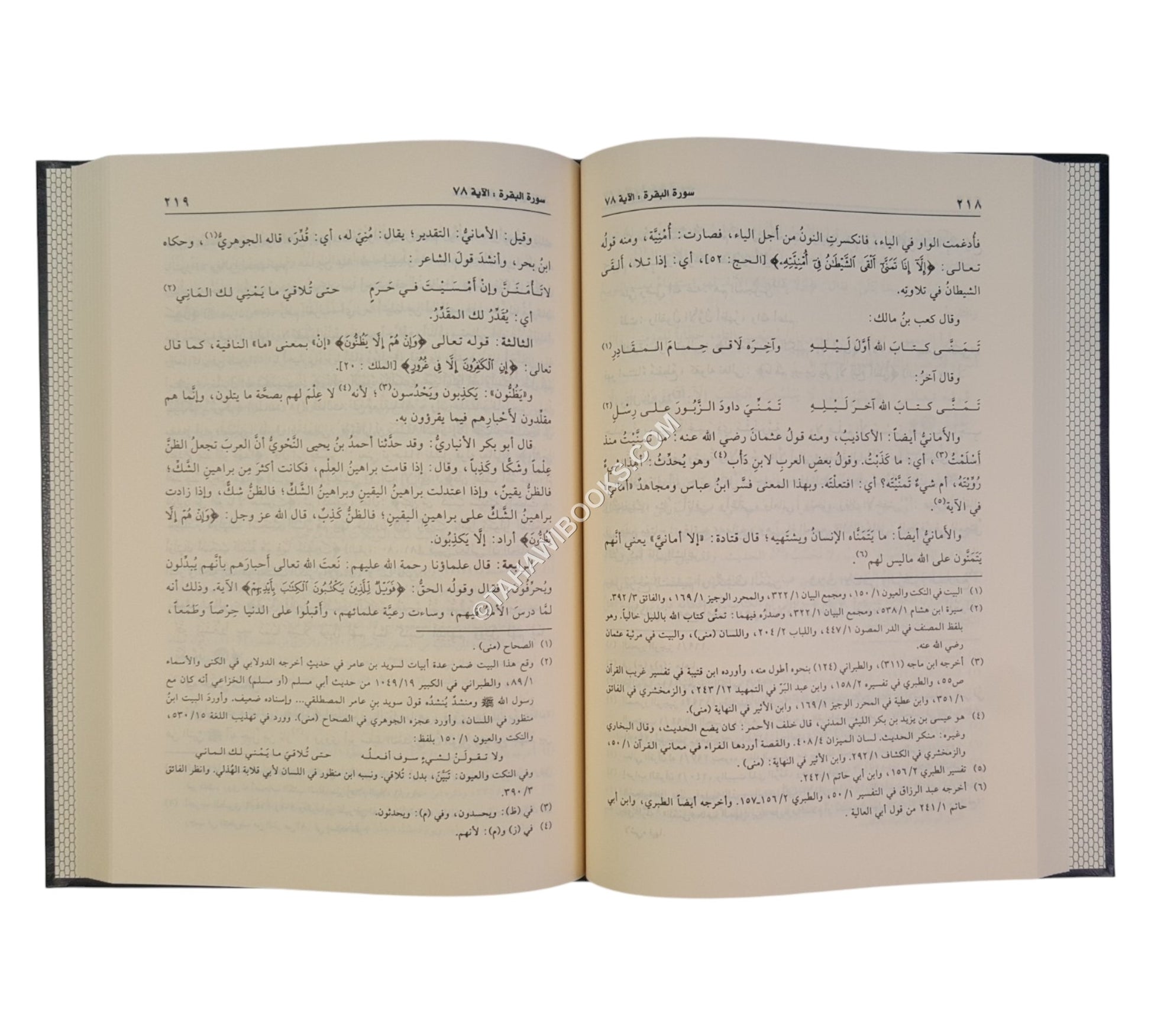 الجامع لأحكام القرآن: تفسير القرطبي-الرسالة