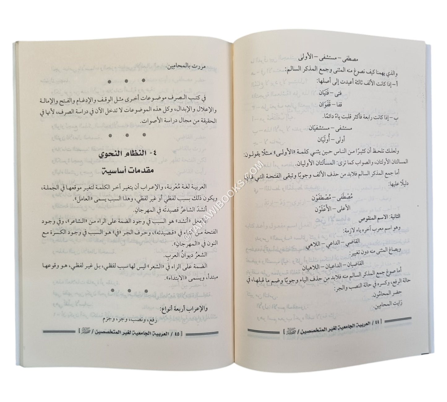 العربية الجامعية لغير المتخصصين