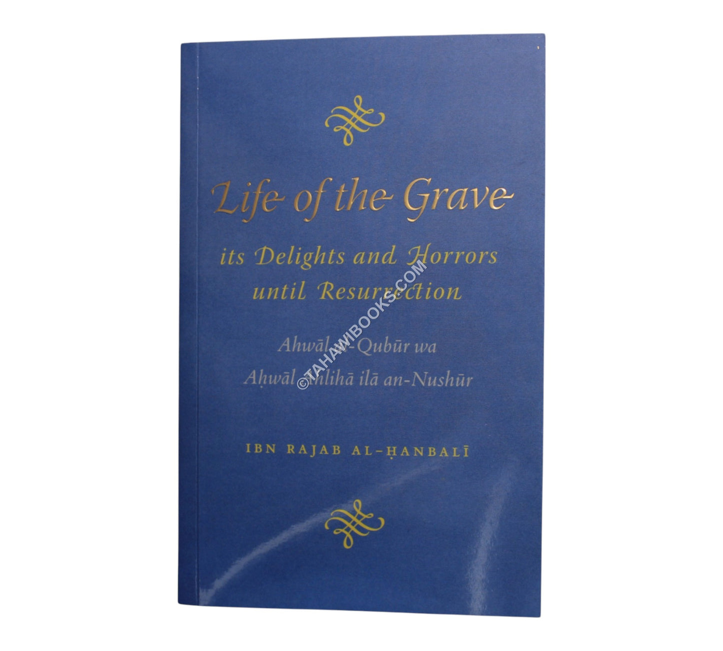 Life of the Grave – It’s Delights and Horrors until Resurrection