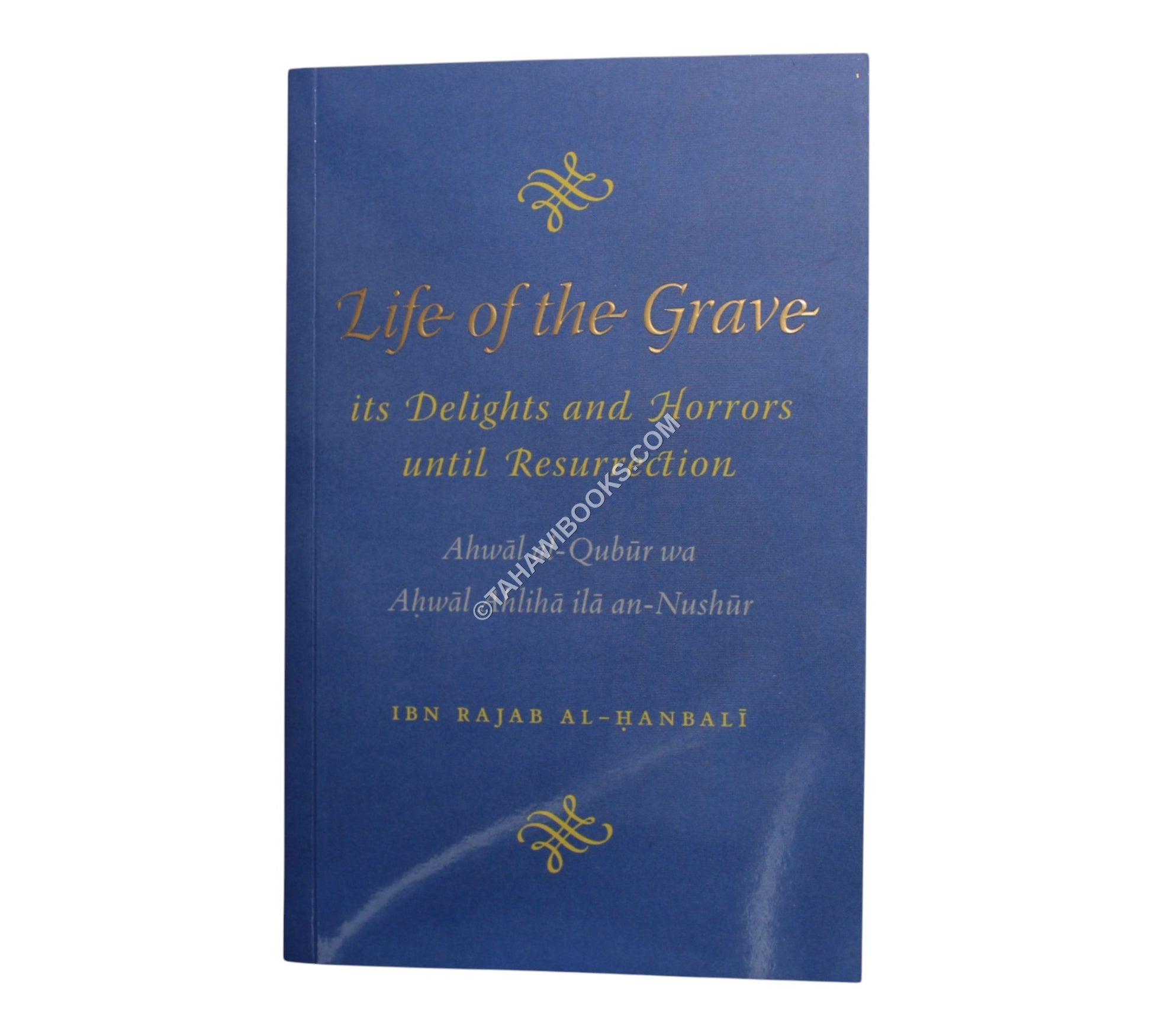 Life of the Grave – It’s Delights and Horrors until Resurrection
