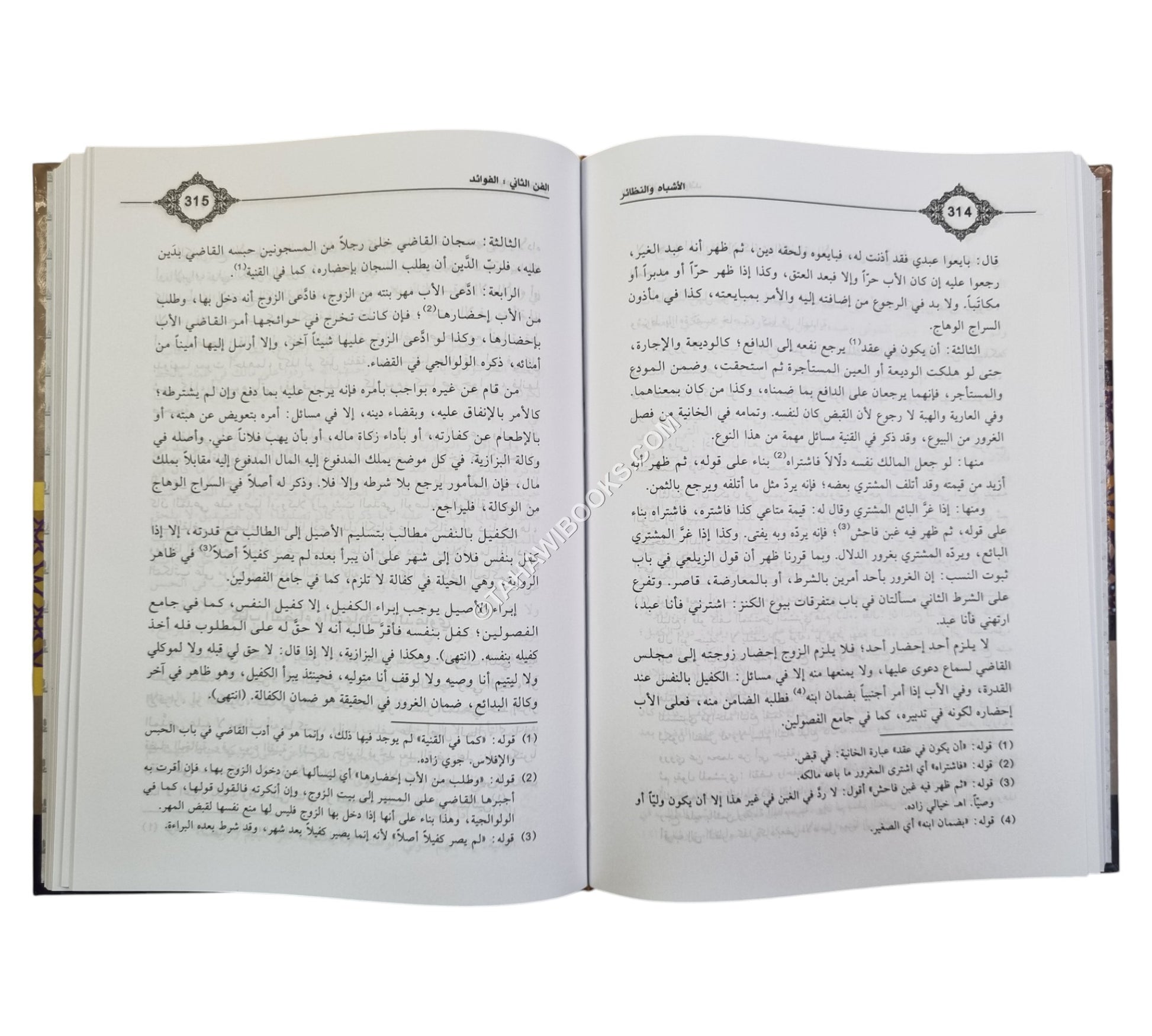 الأشباه والنظائر مع تعليق ابن عابدين-أفضل طبعة