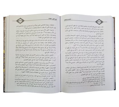 الأشباه والنظائر مع تعليق ابن عابدين-أفضل طبعة