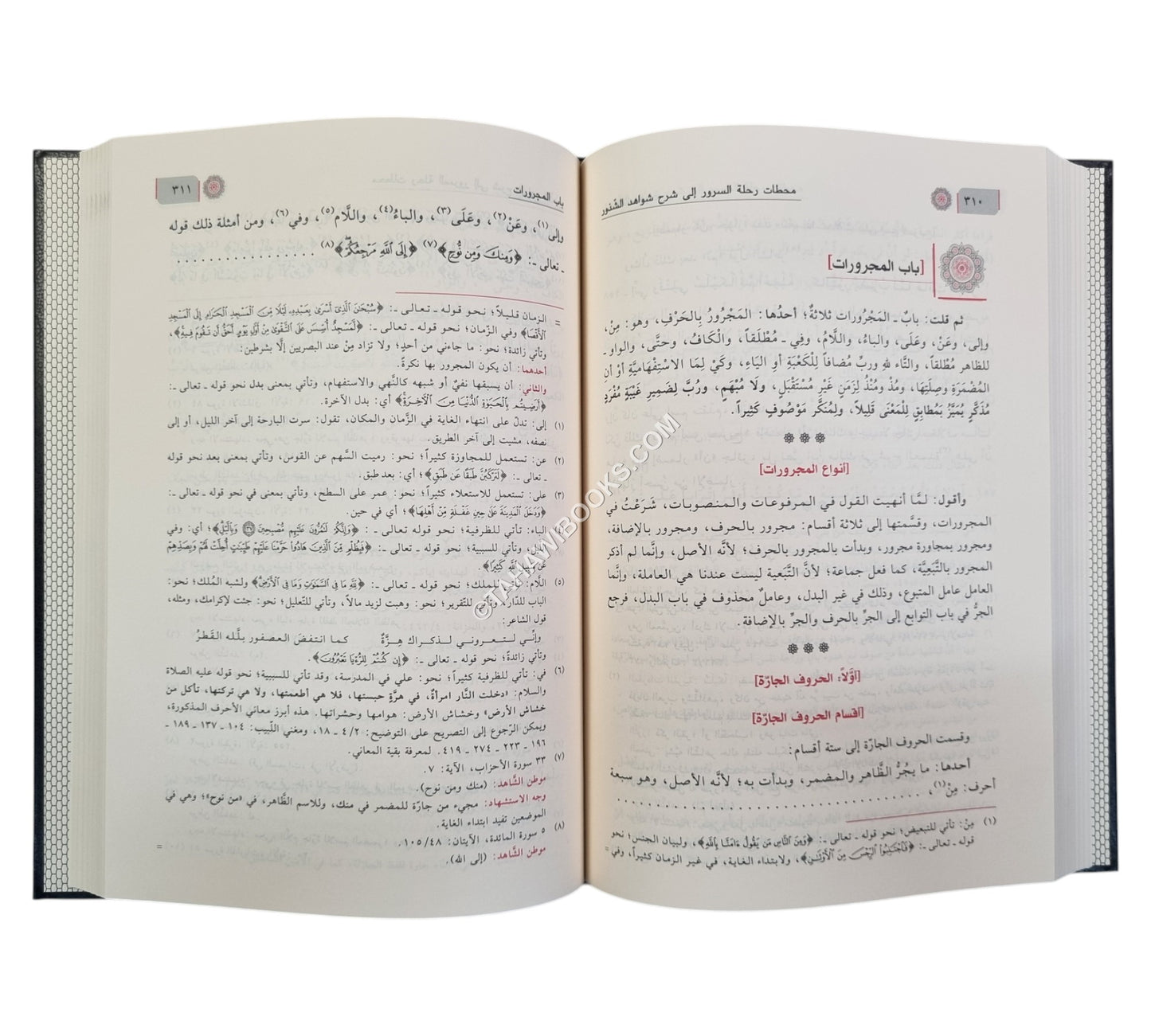 شرح شذور الذهب في معرفة كلام العرب-ابن كثير