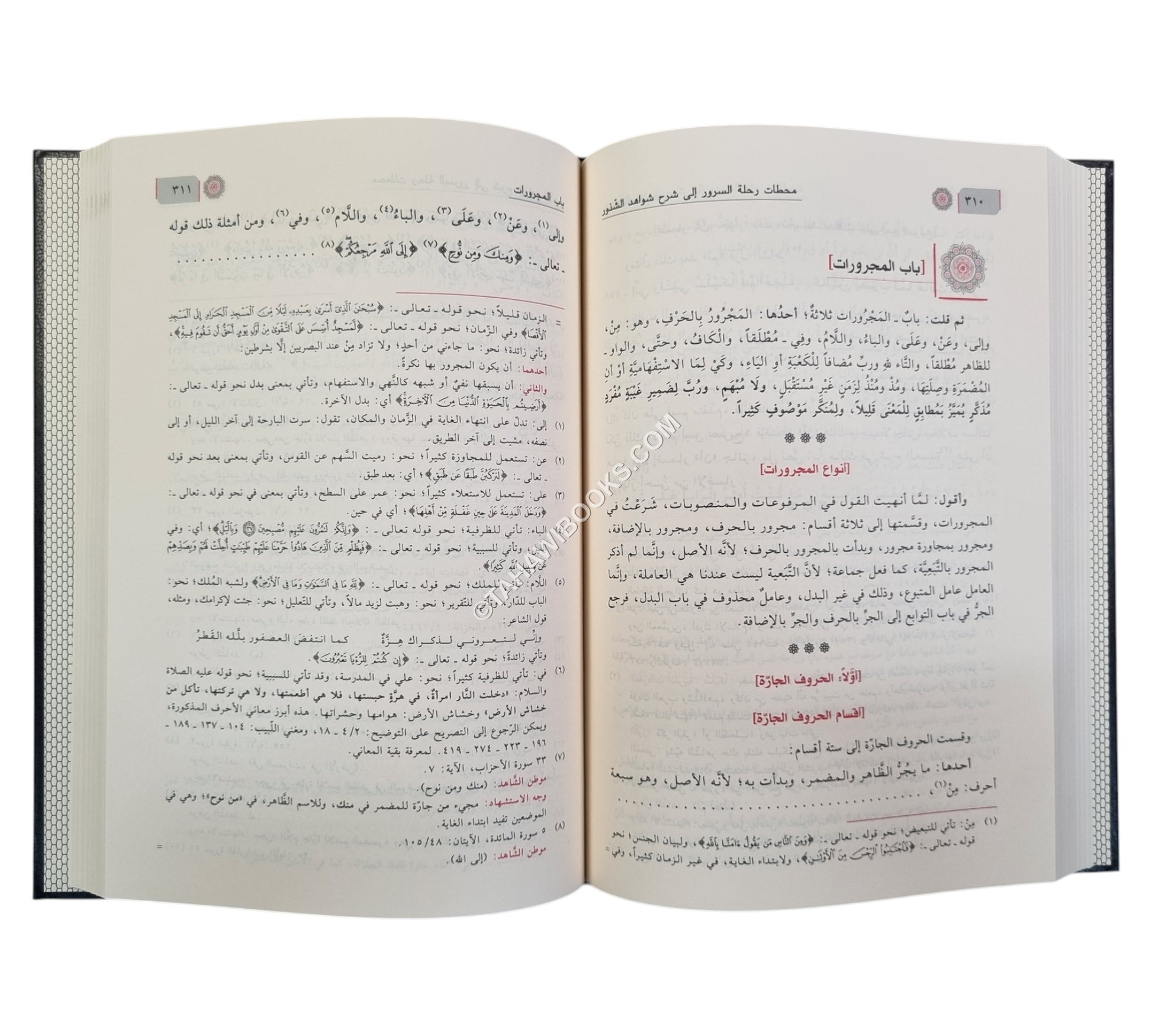 شرح شذور الذهب في معرفة كلام العرب-ابن كثير
