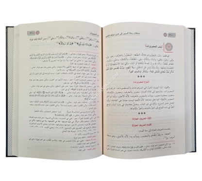 شرح شذور الذهب في معرفة كلام العرب-ابن كثير
